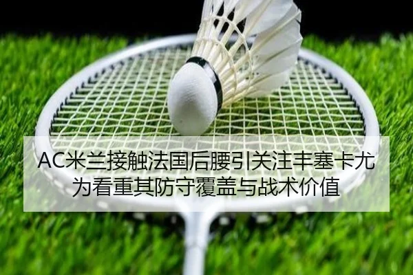 img_1783260893328_209_1_869.jpg